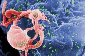 Danish researchers activate hidden HIV cells in major step towards a possible cure